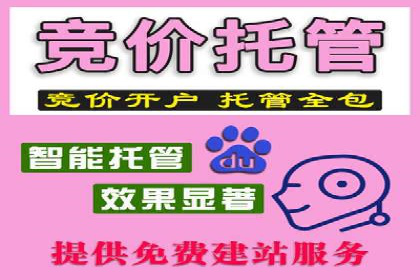 SEM服务助力企业多渠道营销案例